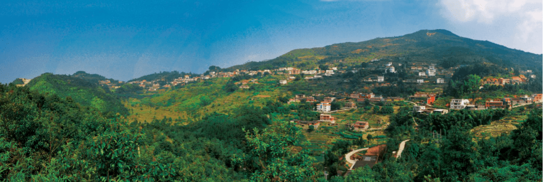 喜讯!蓬华镇山城村获评泉州市第三批"六大旅游产品"旅游村