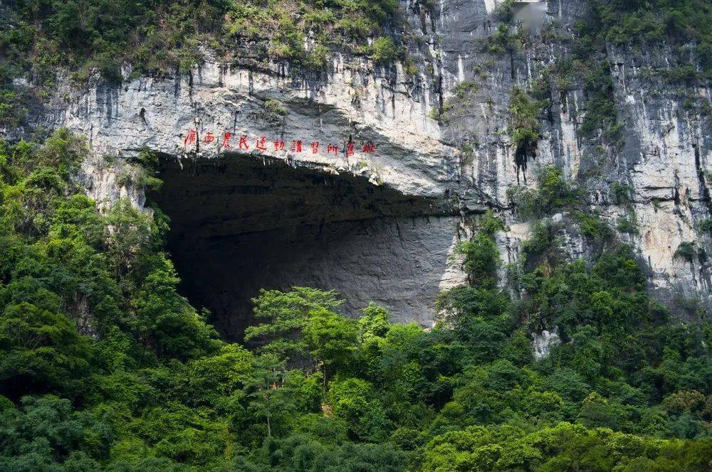 近日,記者來到韋拔群的家鄉東蘭縣武篆鎮,從魁星樓往東南方向驅車3