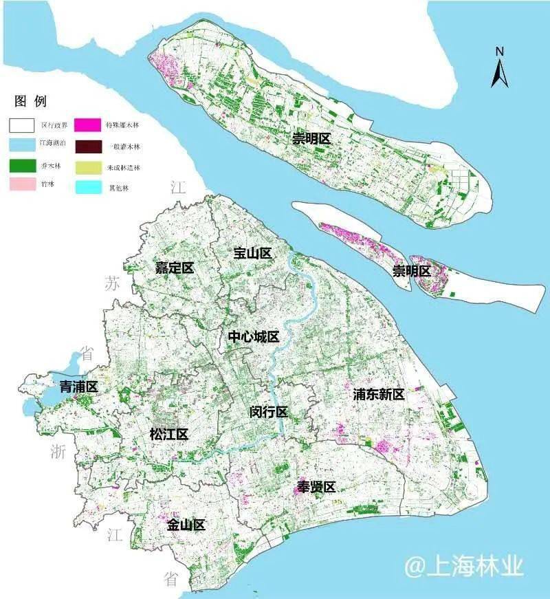 上海市2020年森林資源分佈圖