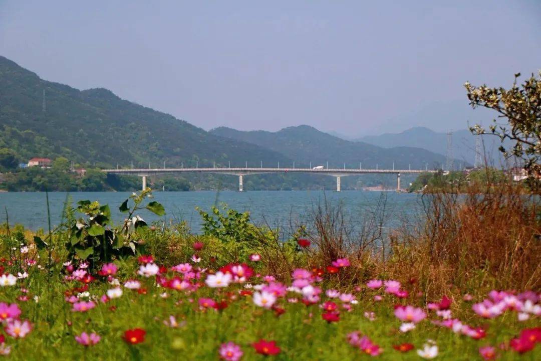 3月4号建德下崖村油菜花海值得一看