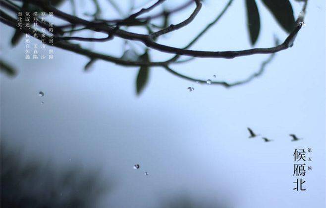小提琴曲谱下雨的时候_下雨的时候小提琴简谱(3)