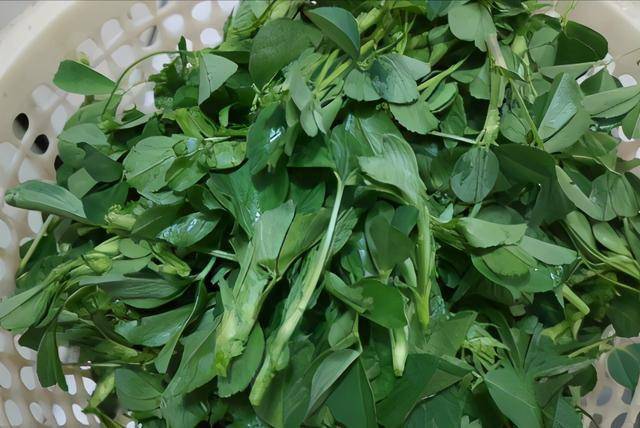 田野里随处可见的美味,上海本帮菜——酒香草头_嫩芽