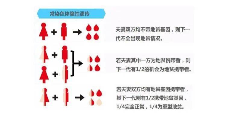 你知道地中海贫血吗