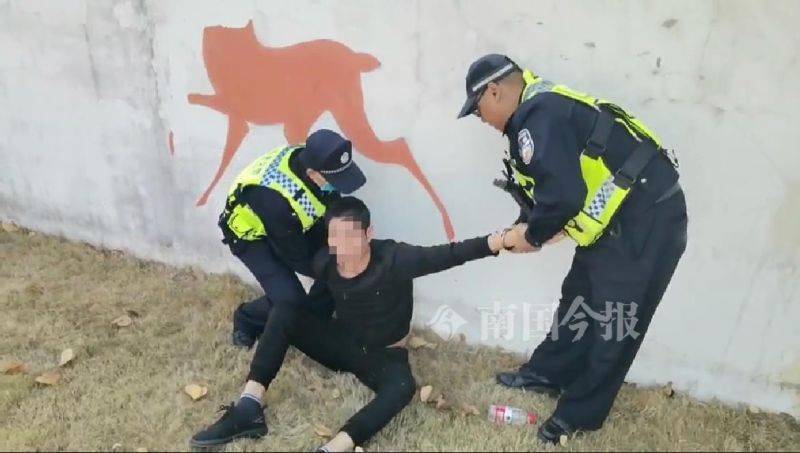 鹿寨雒容镇GDP_鹿寨县鹿寨镇辖区地图(2)