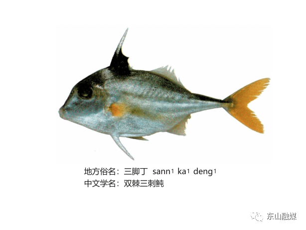 8ed7e407798649028290079388f6f258.png