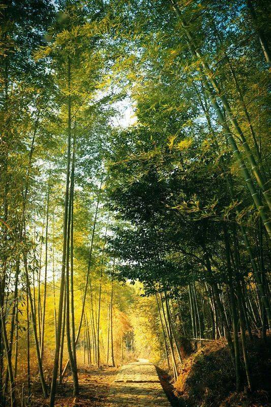 再话龙岩八景之九侯叠嶂