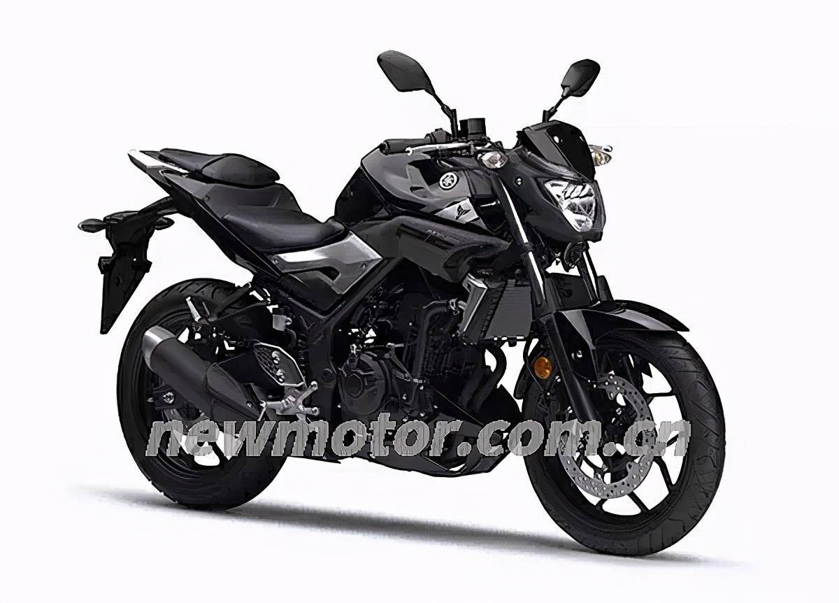 新品 WR’S 2016～2021 MT-25/MT-03 スリップオン ラウンドタイプ ステンレス/焼き色チタン BK2260JM ダブルアールズ マフラー