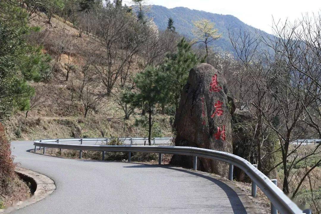 去四明山镇悬岩村需要沿山路行驶,山路不大,外沿是百米高的山坡.