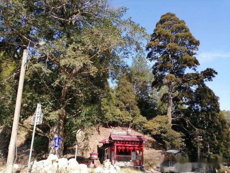 永安贡川古道探野!_洋峰