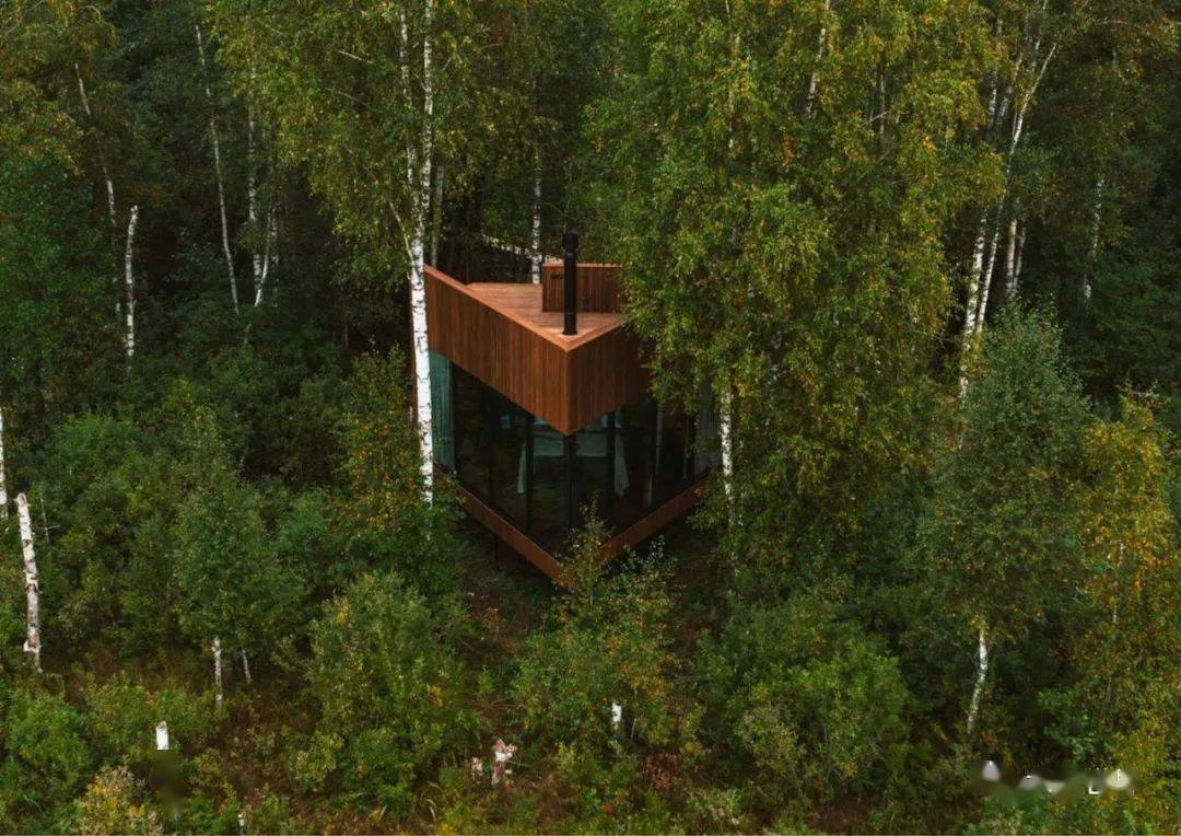 露台上的露台,沼泽边缘的自然木屋