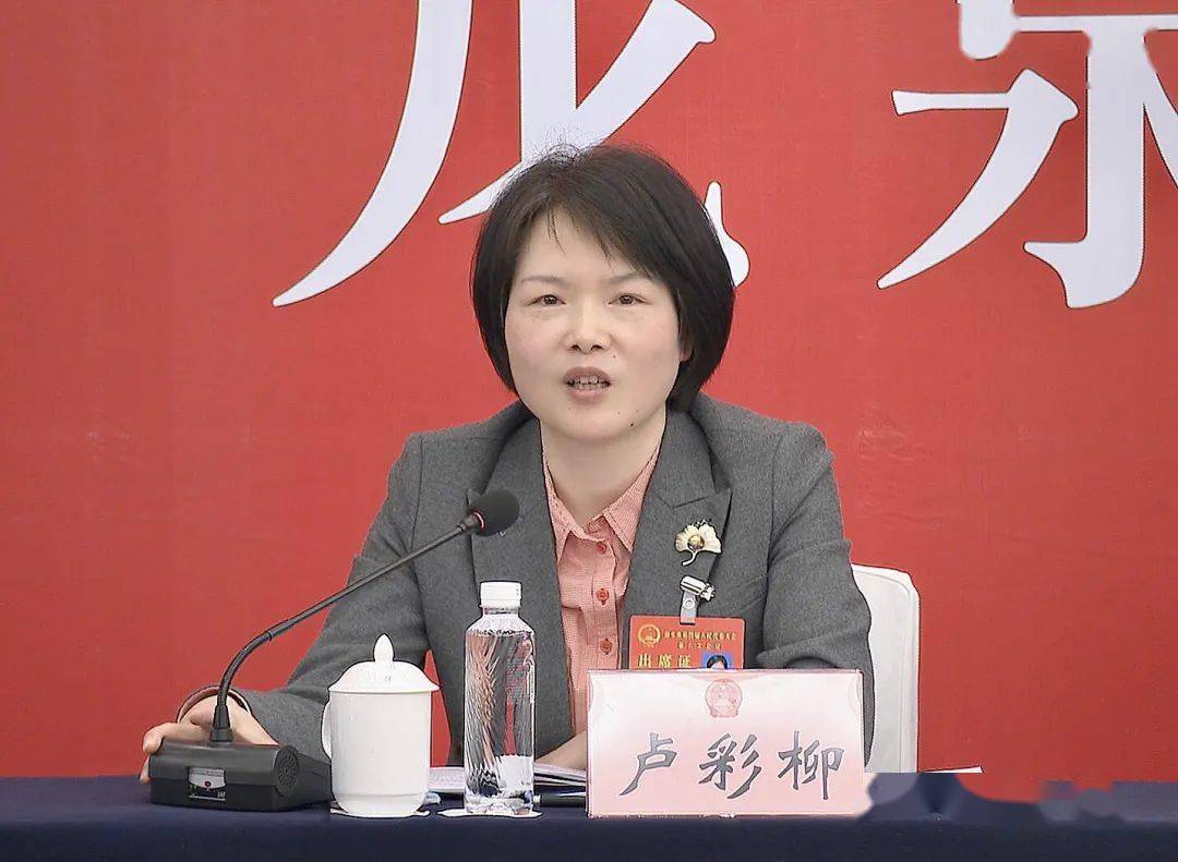 龙泉代表团认真审议丽水市政府工作报告等