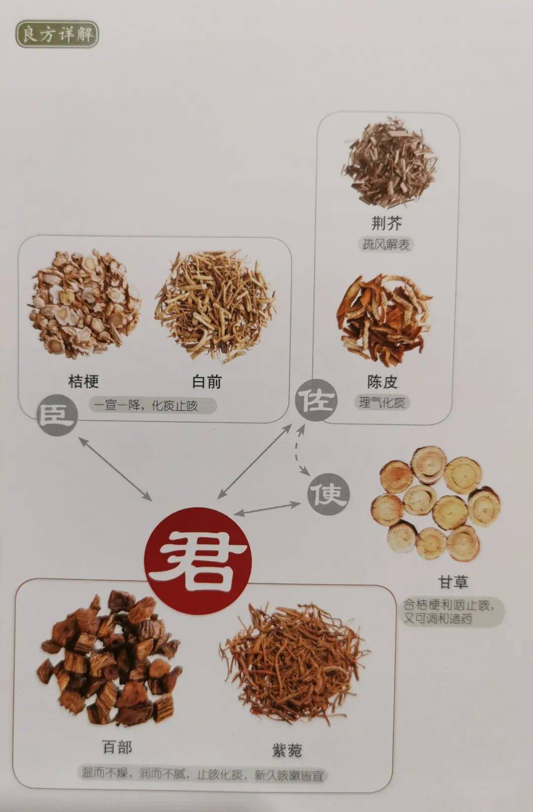 方剂歌诀:止咳散用百部菀,白前桔草荆陈研,宣肺疏风止咳痰,姜汤调服