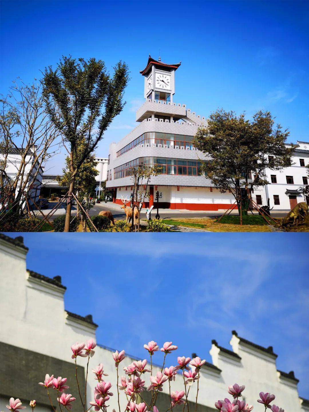 jpg_酒都