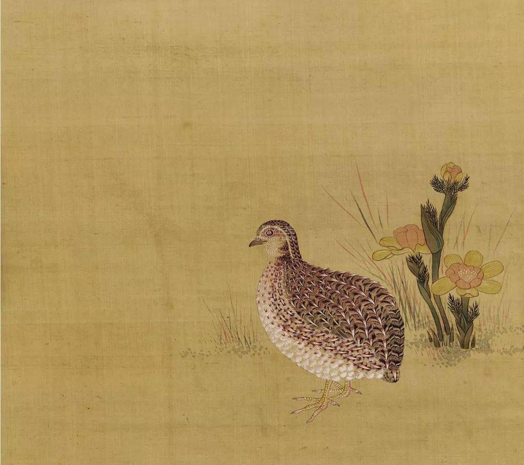 平安喜乐国画中的鹌鹑85幅