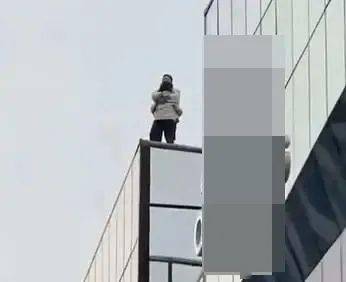 夫妻跳高楼猜一成语_木猜一成语疯狂看图(2)