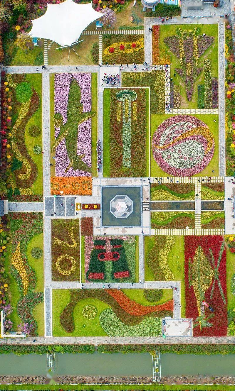 200万 郁金香,盛放武汉!_花海