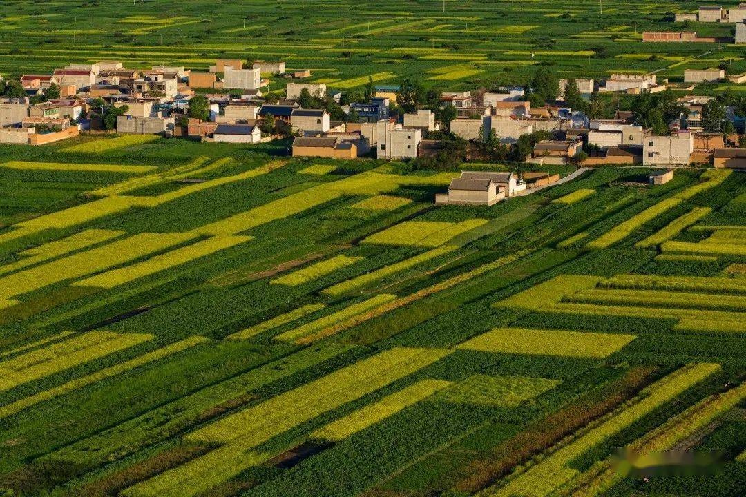 谁不说咱岷县好——光影岷县