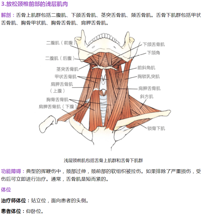 用指尖放松翼内肌,下颌舌骨肌和舌骨上肌群的近端附着处做一系列短的