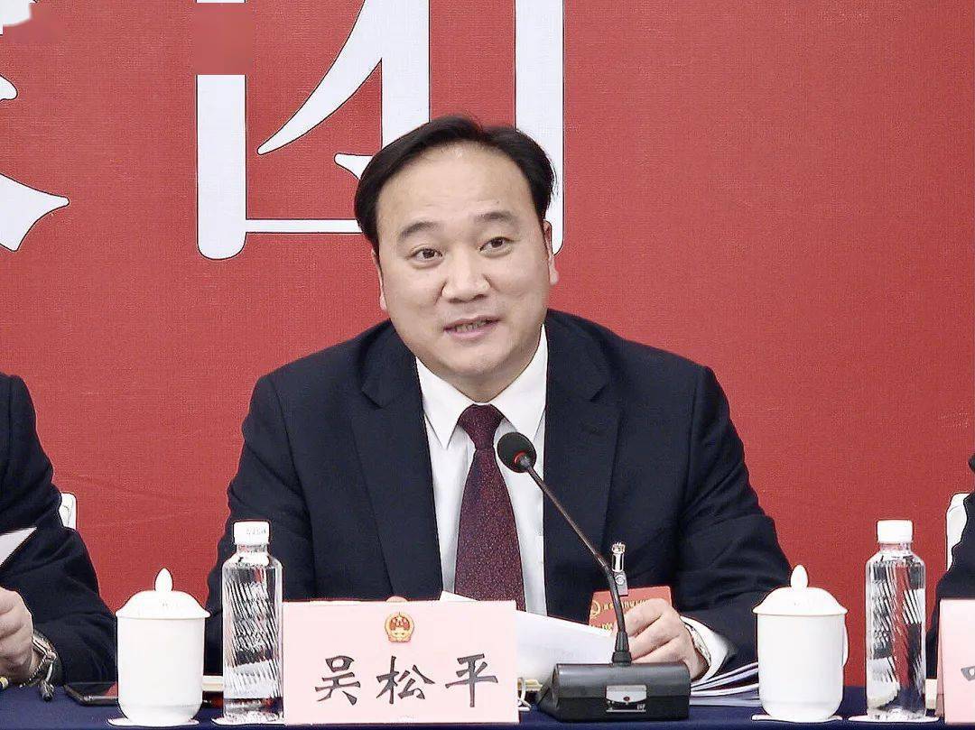 龙泉代表团认真审议丽水市政府工作报告等