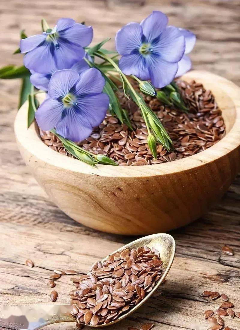 亚麻籽和亚麻籽油的15种健康益处