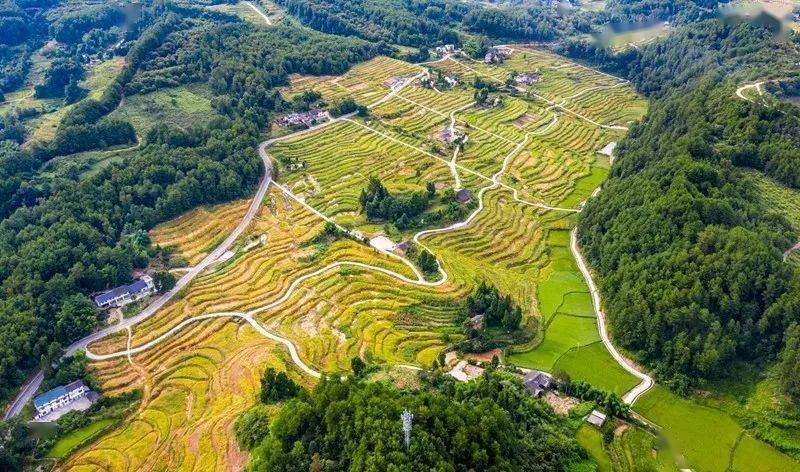 党中央国务院表彰南川长坪村党支部荣获全国脱贫攻坚先进集体表彰