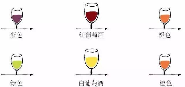 曼尼酒庄学习葡萄酒知识其实十分简单