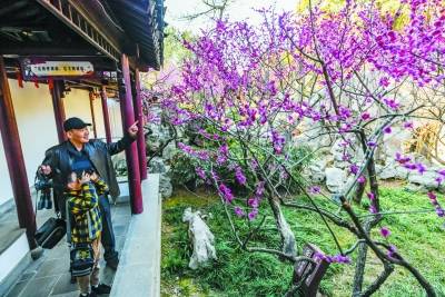 花香春色美 踏青游人醉