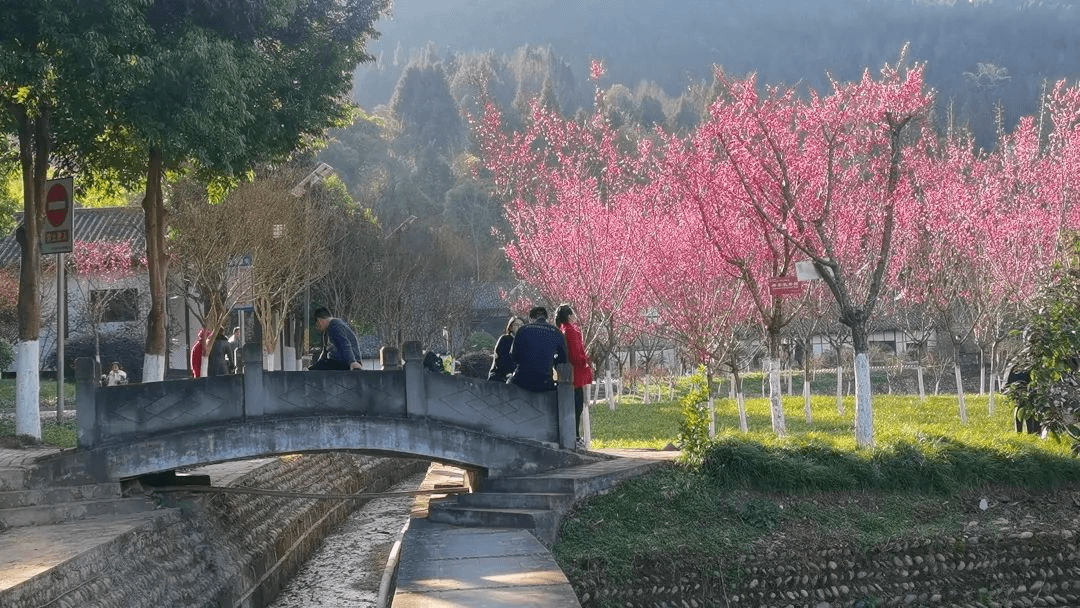 西充多少人口_西充关文镇人口