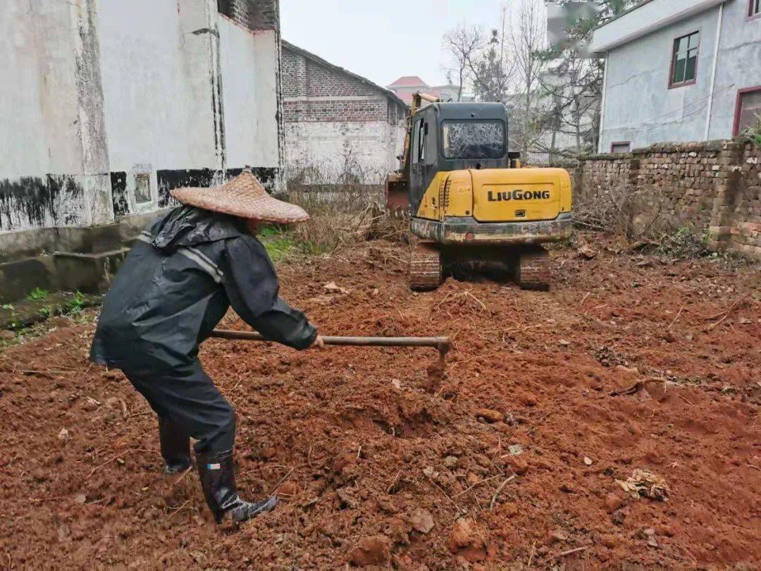 67永新:雨天種下黃桃樹 綠化糧管所環境_臺嶺鄉