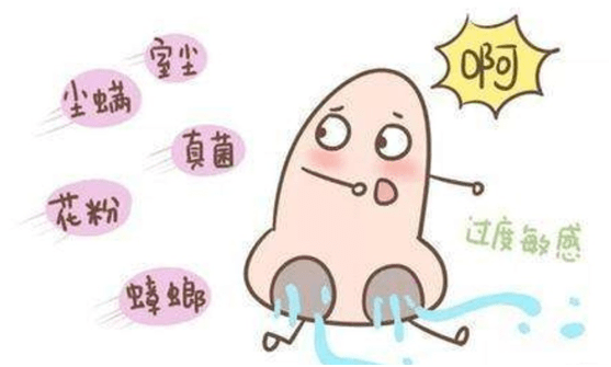 bdc3958ce0294365a51bf70d7da78e3b.png