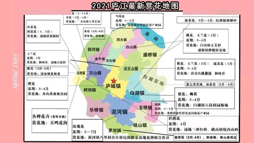 2021苍南县个镇gdp_龙港 苍南 平阳 鳌江流域三国争雄(3)