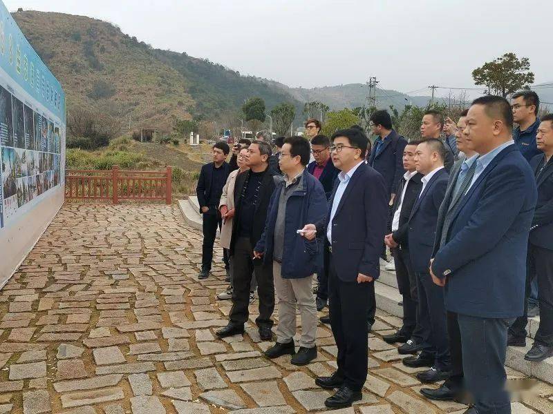省发改委金新仁处长来赤溪镇调研生态海岸带规划建设工作