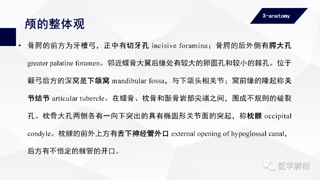 人体解剖学 中轴骨及其连结 颅骨 二 医学