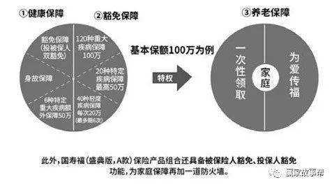 国寿福盛典版销售中的两类饼图