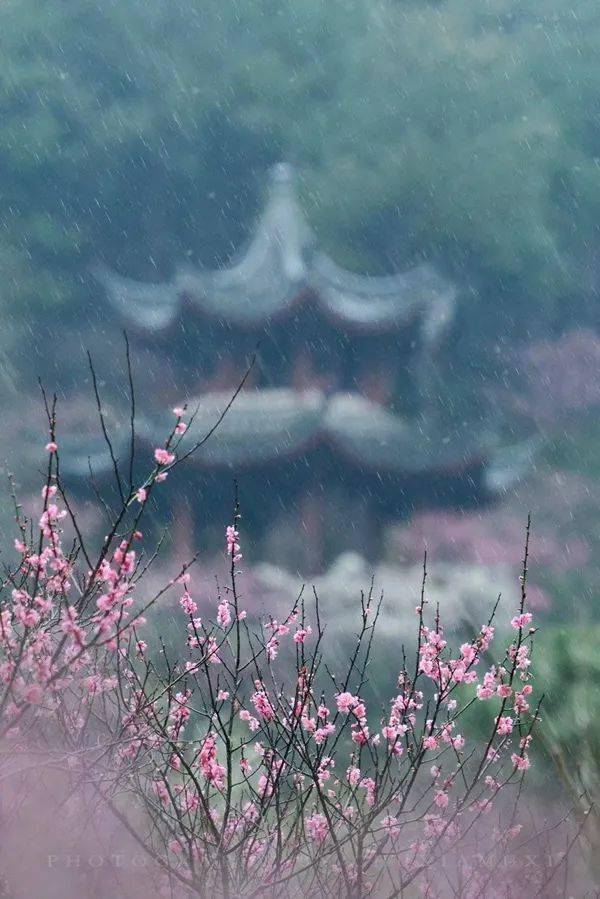 素衣闲坐小楼听雨