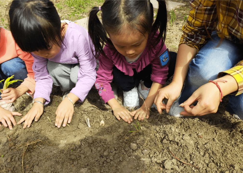 五星三名课程育人农场二三趣事儿沥海街道中心幼儿园