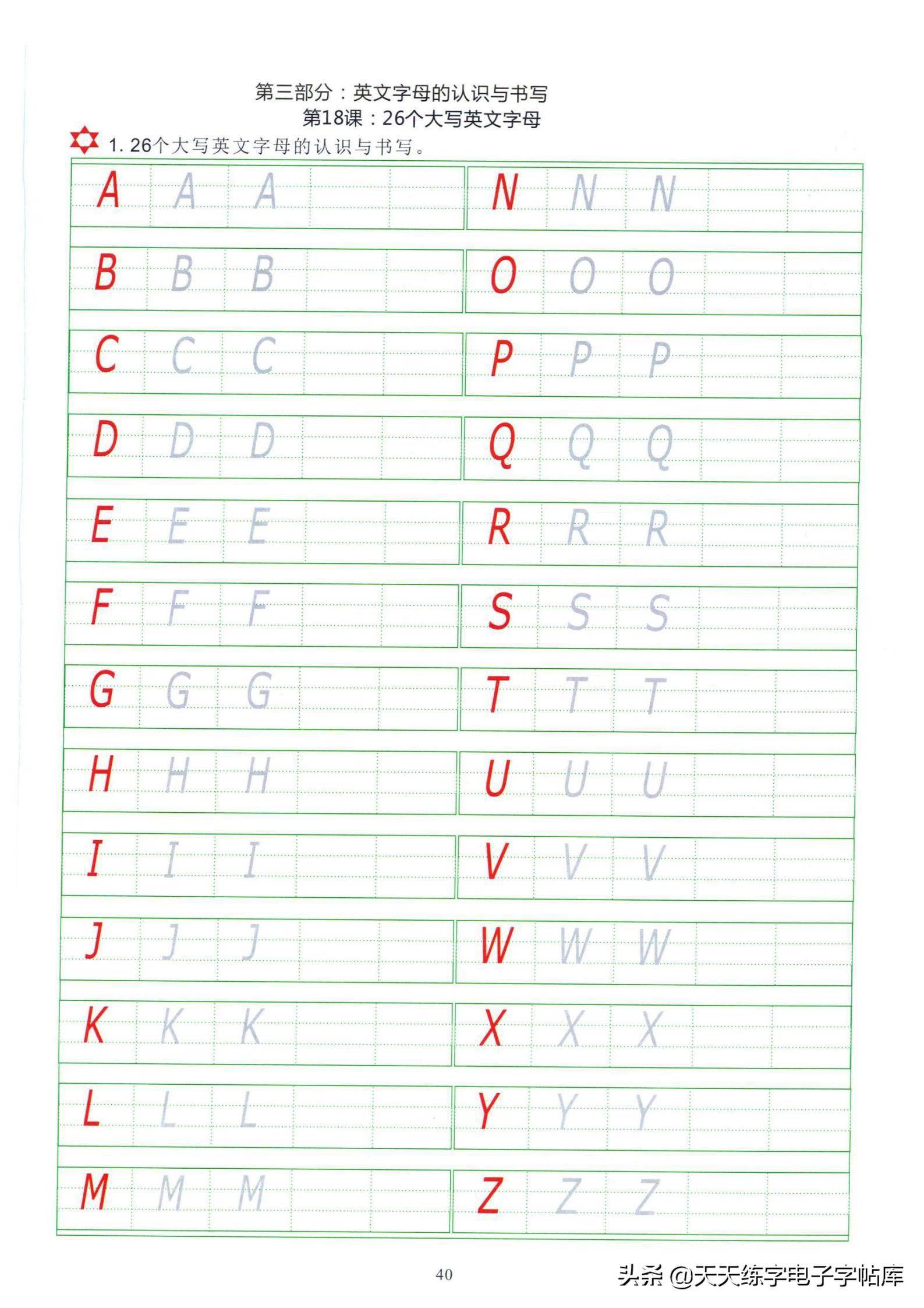 英文字母简谱_英文字母纹身(2)