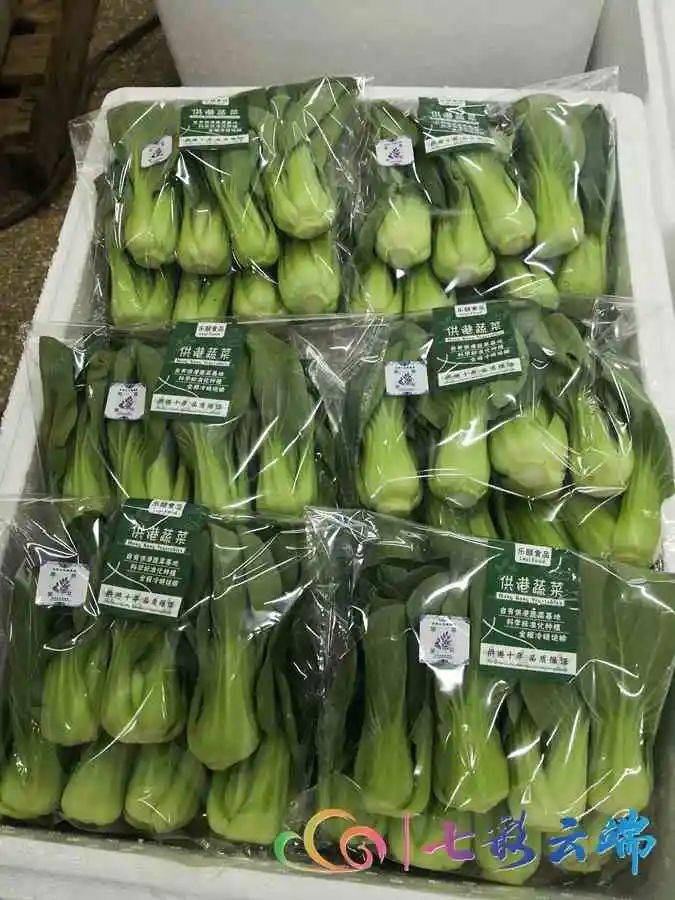 种植,加工,运输,营销等全部流程,从而实现小包装蔬菜产业的标准化需求