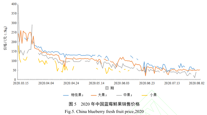2020中国蓝莓产业年度报告全文