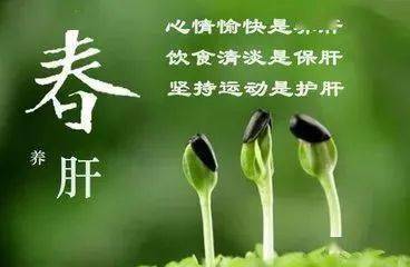 吃什么东西养肝护肝 5b71f608ce124eb48c429d203bc61ad9.jpeg