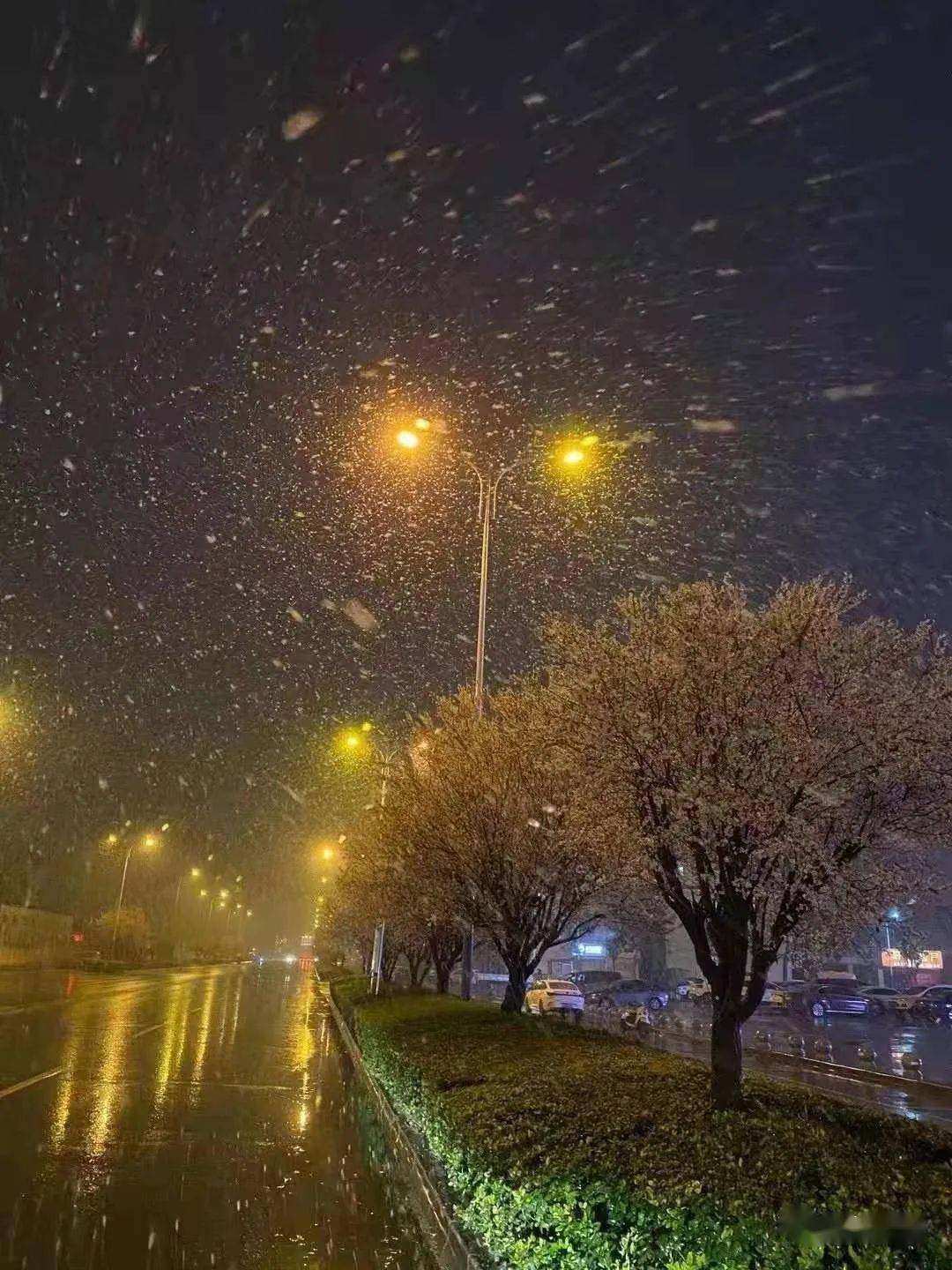 大雪处处都是美景天地银装素裹世间的一切都在它的覆盖下变得纯粹起来