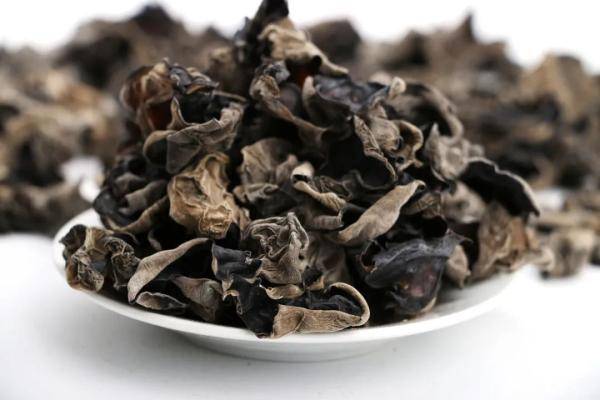 怎样种木耳种子 628450eca0244f95b1b34323b77bd981.jpeg