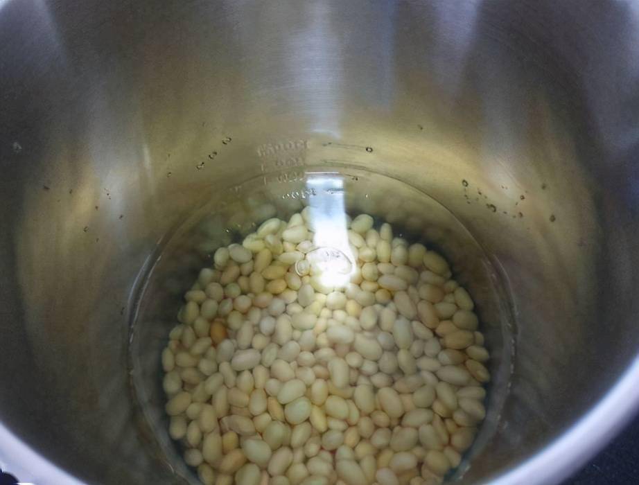 泡黄豆的过程图片