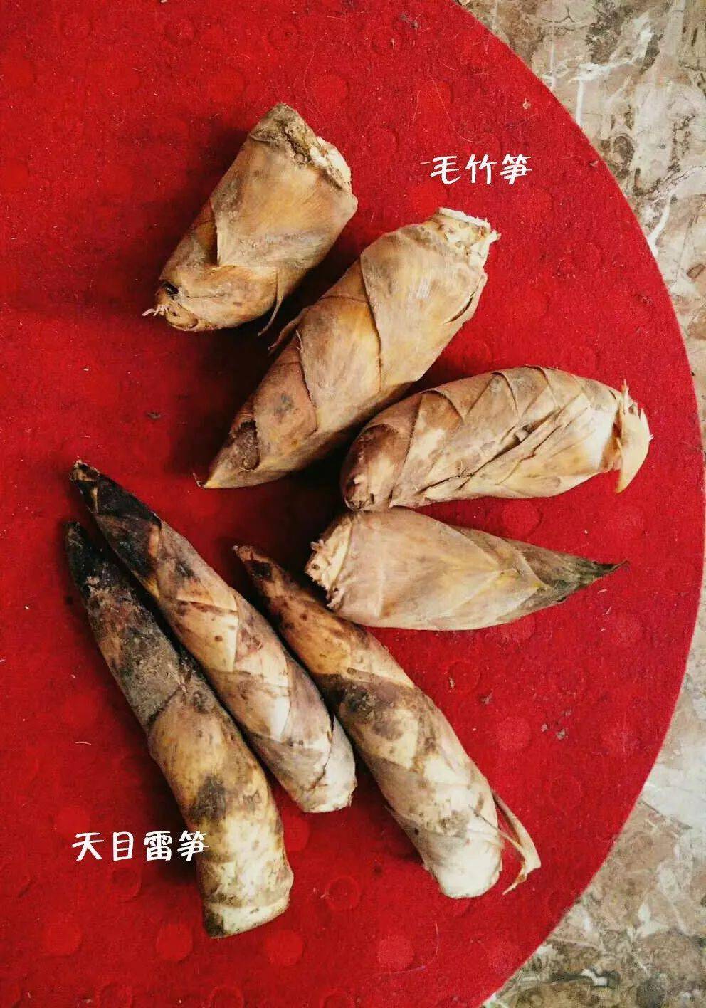 产地食材▎天目山雷笋金版玉衣为上品围炉居家赏味鲜