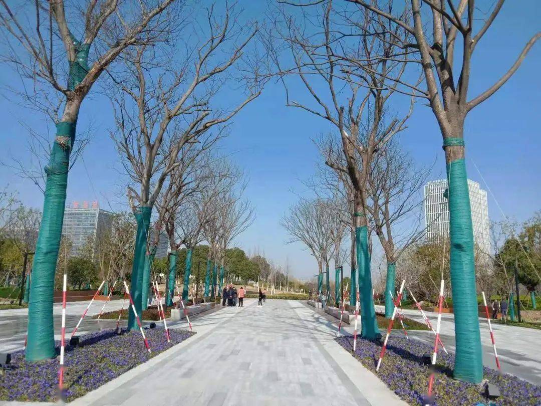 高颜值秀洲这个改造一新的公园等你来打卡