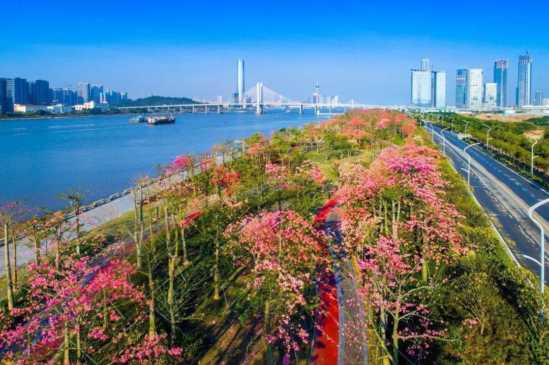 珠海所有人口_珠海所有医院枕套标志