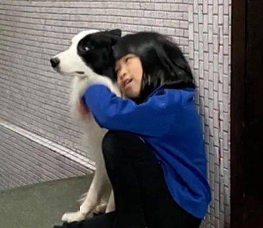 小主人向邊牧報喜：寒假多放兩天！可這貨的表情卻笑翻網友哈哈哈... 萌趣萌寵 第9张