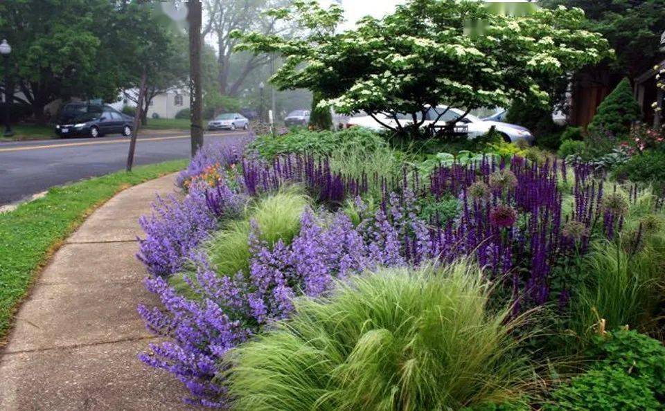 一个赏心悦目的花境做好花境植物种植真的很重要