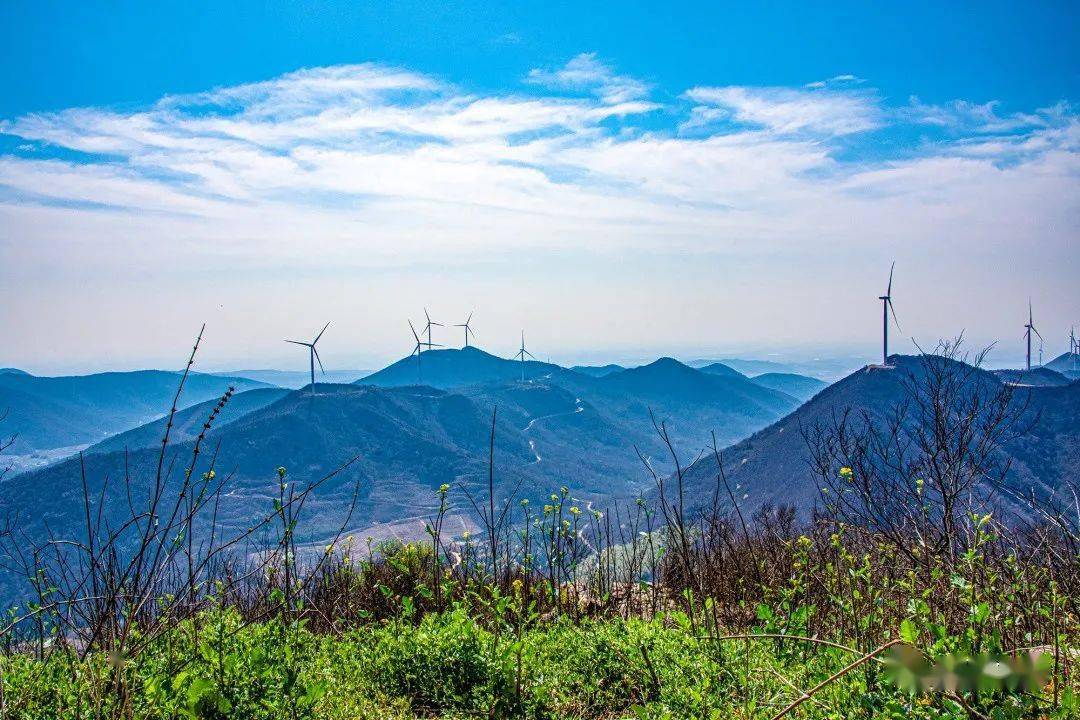 春遊巢湖系列之銀屏山_白牡丹