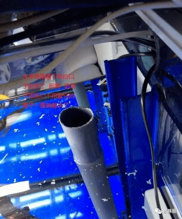 鱼缸如何降低水位一招教你解决溢流区便便